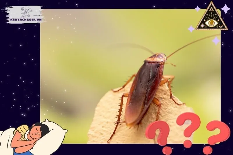 Các bối cảnh khi mơ thấy gián và ý nghĩa cụ thể