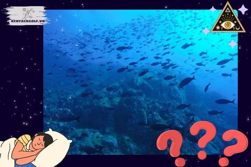 Các giấc mơ phổ biến về cá và điềm báo