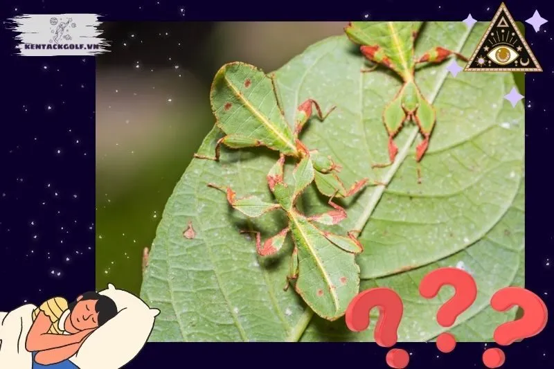 Các loại giấc mơ thấy sâu bọ và ý nghĩa cụ thể