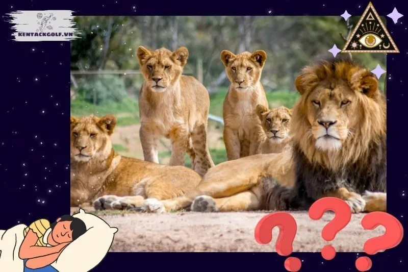 Các loại giấc mơ thấy sư tử và ý nghĩa cụ thể