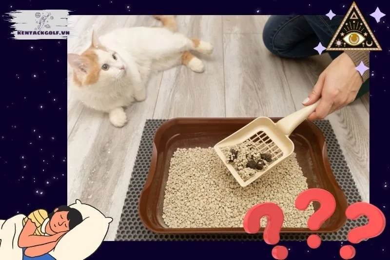 Các tình huống cụ thể khi nằm mơ thấy cứt và cách hiểu đúng