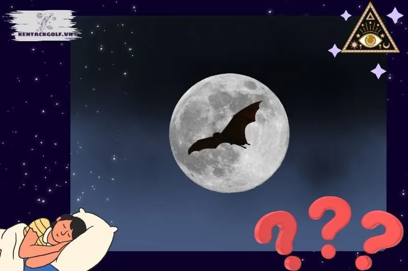 Các Tình Huống Cụ Thể Khi Nằm Mơ Thấy Ma Cà Rồng Và Điềm Báo