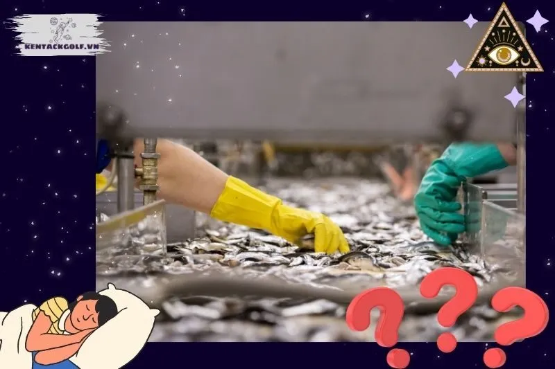 Các Tình Huống Đặc Biệt Khi Nằm Mơ Thấy Làm Thịt Cá