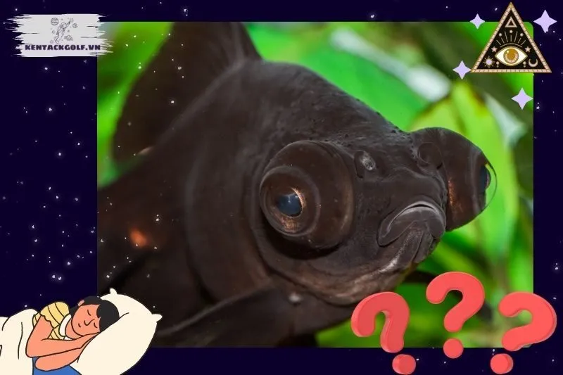 Các Tình Huống Giấc Mơ Thấy Cá Đen Và Ý Nghĩa Của Chúng