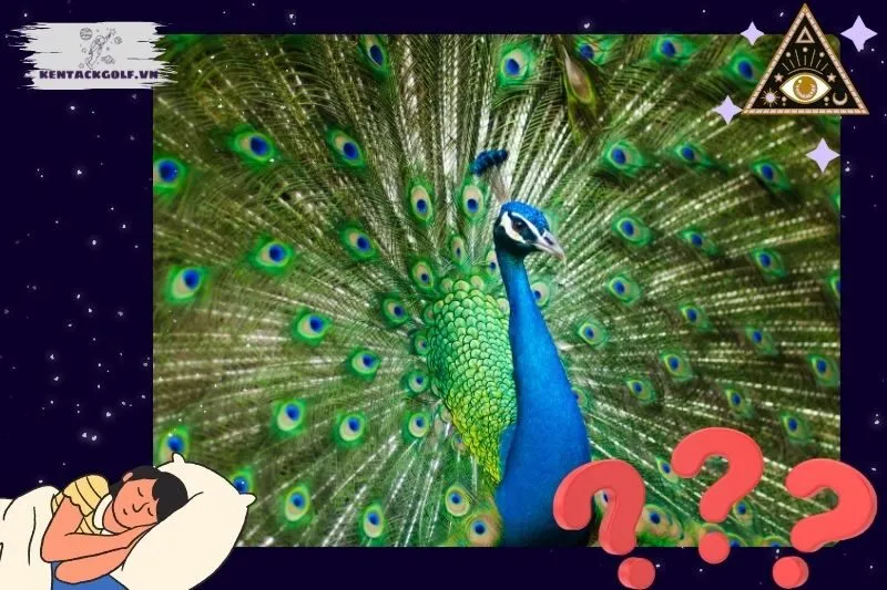 Các tình huống mơ thấy chim công phổ biến và ý nghĩa cụ thể