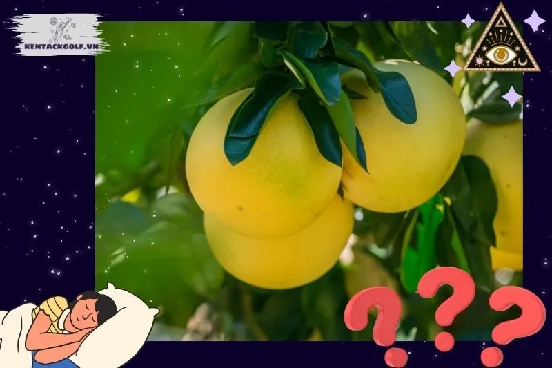 Các tình huống phổ biến liên quan đến giấc mơ bưởi