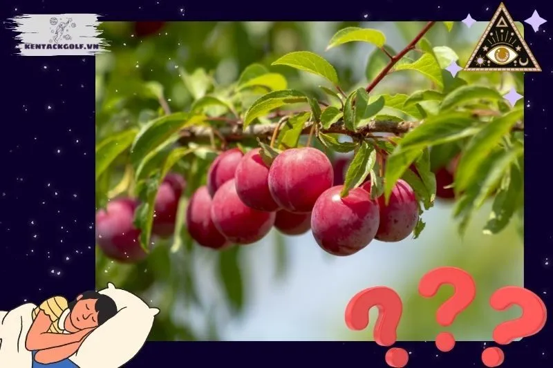 Các Tình Huống Thường Gặp Khi Nằm Mơ Thấy Cây Mận