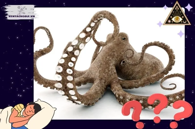 Các trường hợp giấc mơ khác về bạch tuộc