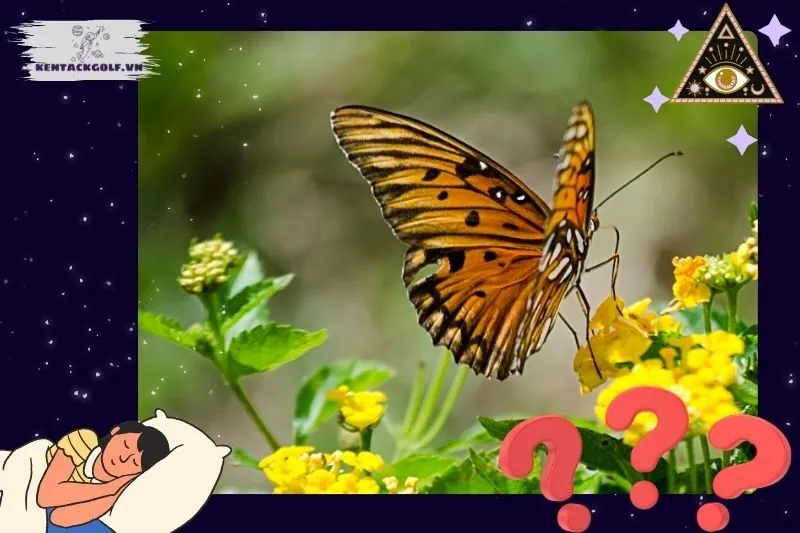 Các trường hợp thường gặp khi mơ thấy bướm và ý nghĩa của chúng