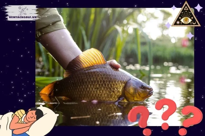 Cách hành động sau khi mơ thấy cá chép để tận dụng điềm báo