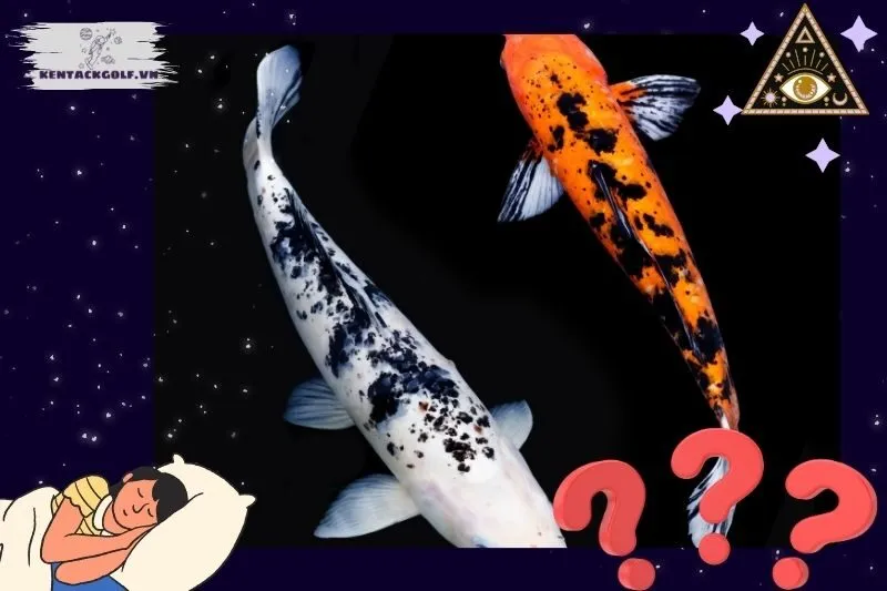 Điềm báo khi nằm mơ thấy cá chép theo từng tình huống cụ thể