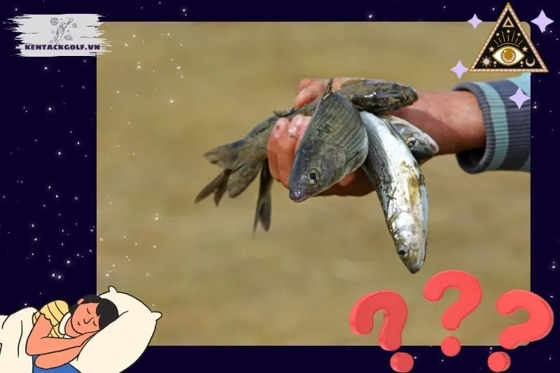 Điềm báo từ giấc mơ bắt cá: Tốt hay xấu?