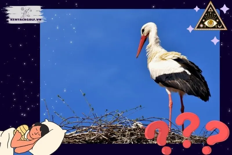 Giải mã các tình huống khi mơ thấy cò trắng