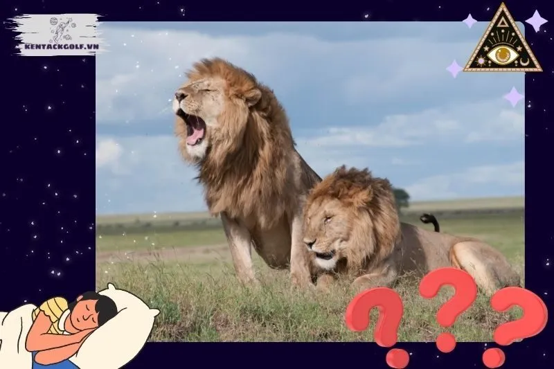 Giấc mơ thấy sư tử và thông điệp đối với cuộc sống