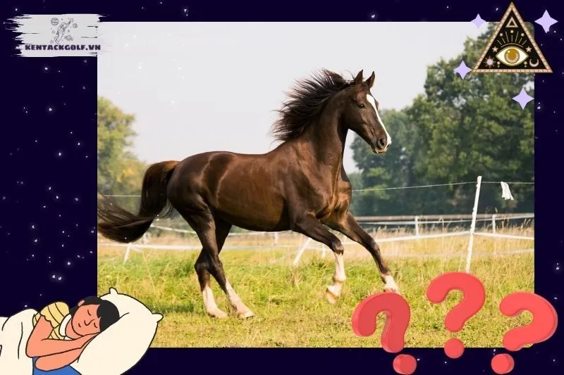 Giải mã các loại giấc mơ thấy ngựa phổ biến