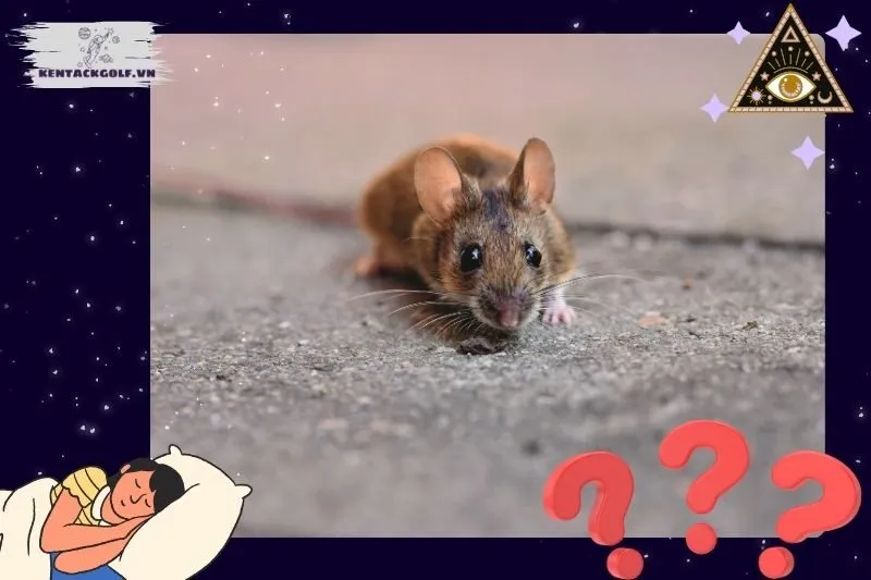 Giải mã các tình huống cụ thể khi nằm mơ thấy chuột
