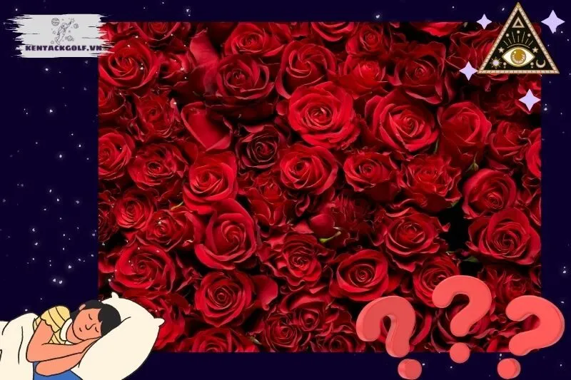 Giải mã chi tiết các giấc mơ liên quan đến cây hoa hồng