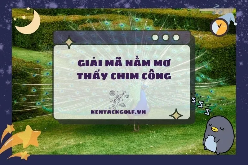 Giải Mã Giấc Mơ Nằm Mơ Thấy Chim Công: Ý Nghĩa Và Điềm Báo 2025