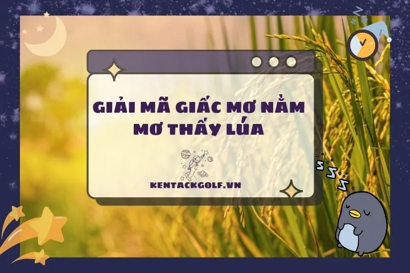 Giải Mã Giấc Mơ Nằm Mơ Thấy Lúa: Điềm Báo Tài Lộc Và Cảnh Báo Quan Trọng 2025