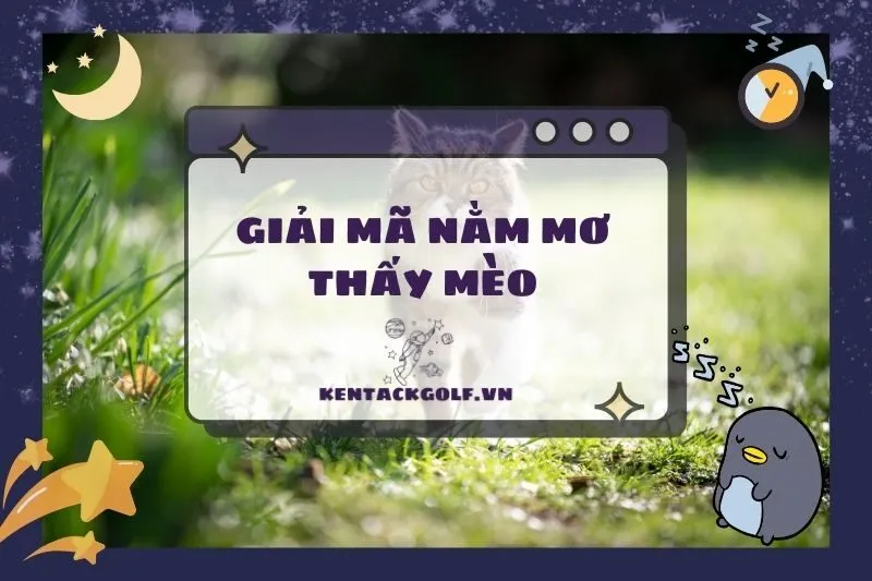 Giải mã giấc mơ nằm mơ thấy mèo: Điềm báo và ý nghĩa chi tiết