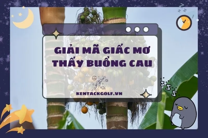 Giải Mã Giấc Mơ Thấy Buồng Cau: Điềm Báo Tình Duyên & May Mắn 2025