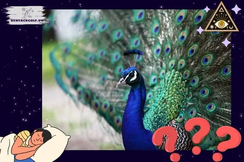 Giải mã giấc mơ thấy chim công và ý nghĩa của chúng