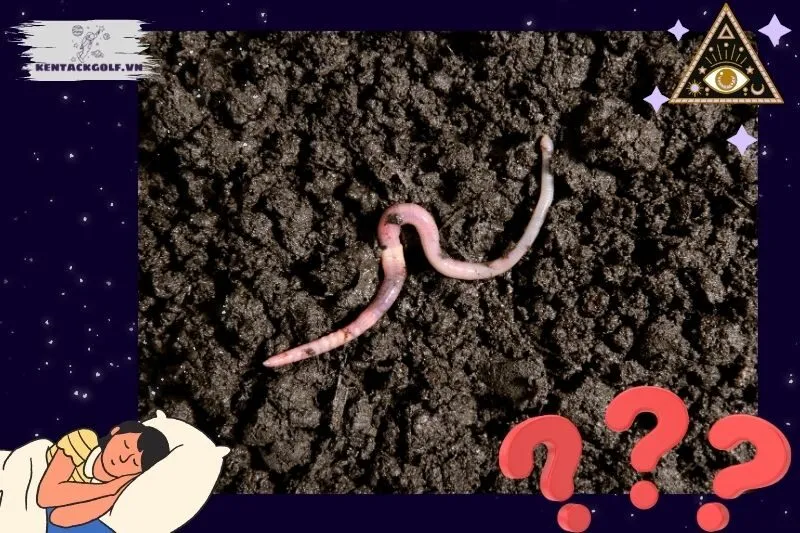 Giải mã giấc mơ thấy giun và các ý nghĩa chính