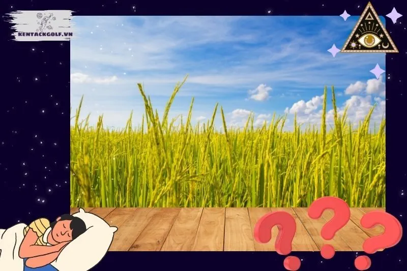 Giải Mã Giấc Mơ Thấy Lúa: Tài Lộc, Thành Công Và Cảnh Báo