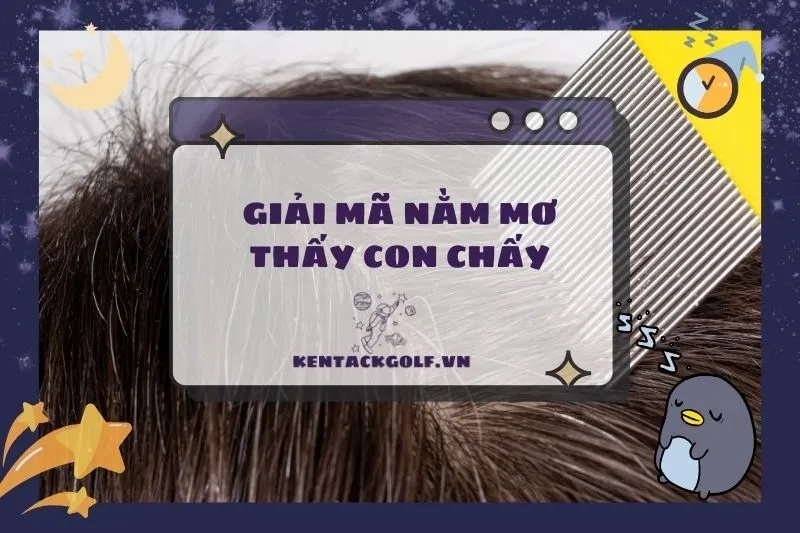 Giải Mã Nằm Mơ Thấy Con Chấy: Ý Nghĩa, Điềm Báo Và Con Số May Mắn 2025