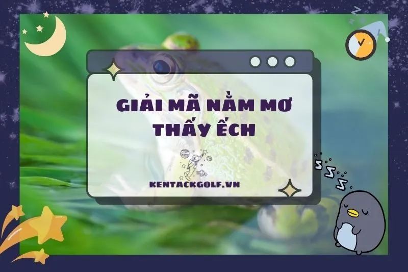 Giải mã nằm mơ thấy ếch: Điềm báo may mắn hay lời cảnh báo 2025?