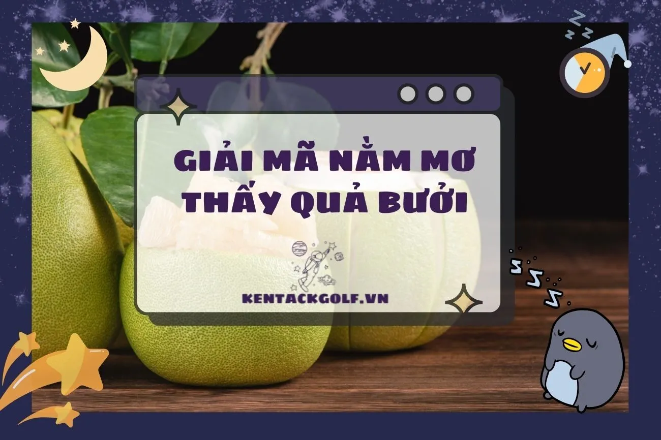 Giải Mã Nằm Mơ Thấy Quả Bưởi: Ý Nghĩa, Điềm Báo, Con Số May Mắn 2025