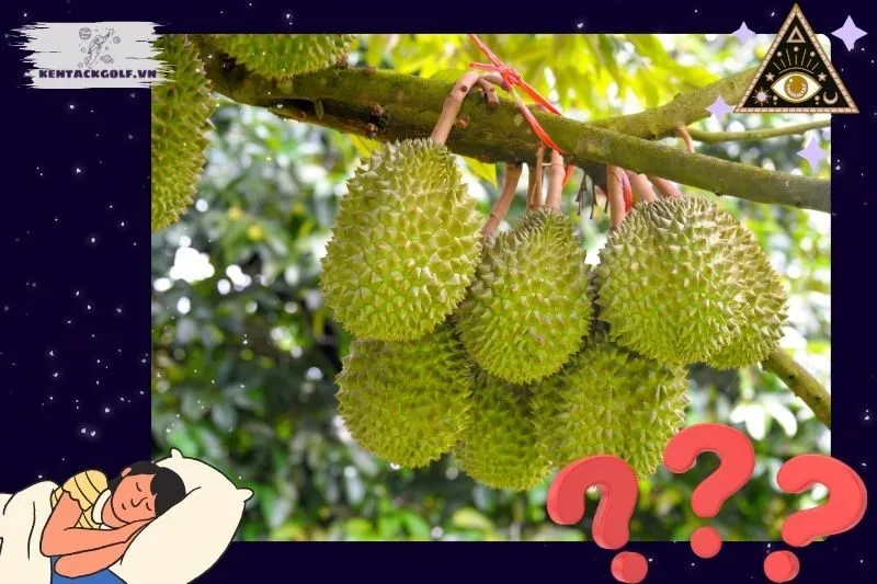 Giải mã từng tình huống mơ thấy trái sầu riêng