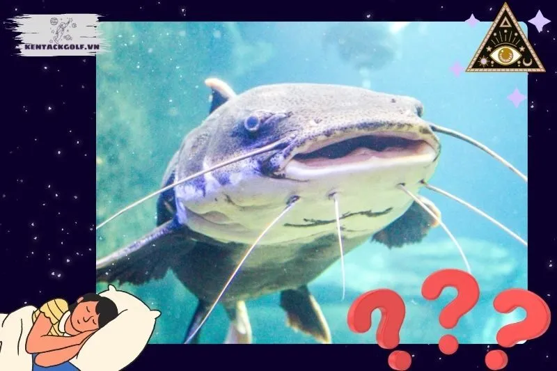 Giải Mã Ý Nghĩa Giấc Mơ Thấy Cá Trê