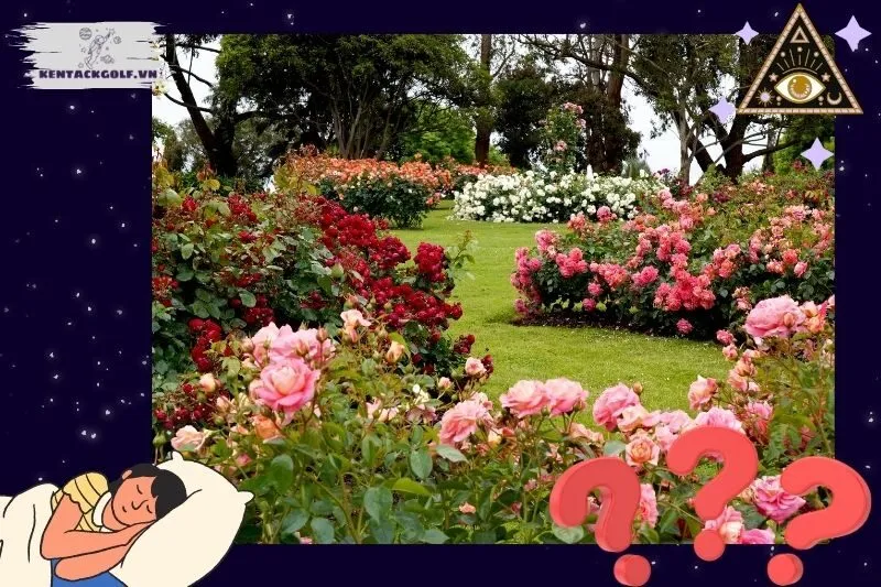 Giải mã ý nghĩa từng loại hoa trong giấc mơ