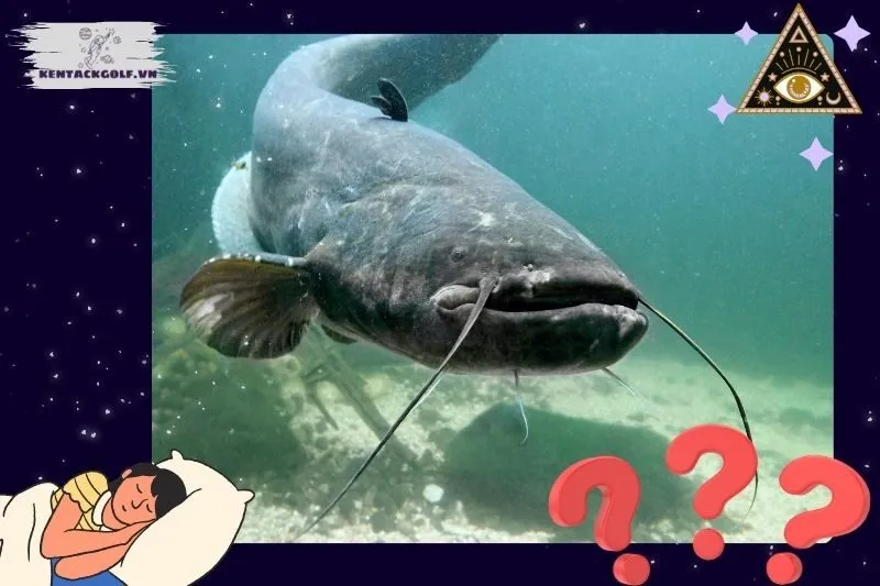 Giải Thích Các Trường Hợp Thường Gặp Khi Mơ Thấy Cá Trê