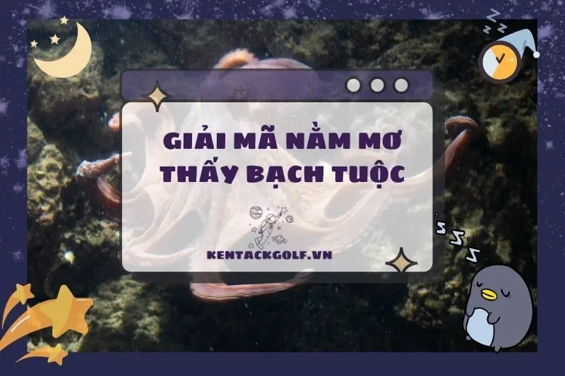 Nằm mơ thấy bạch tuộc có ý nghĩa gì? Giải mã giấc mơ chi tiết 2025