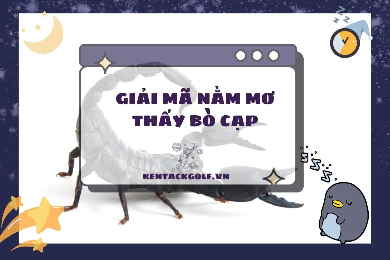 Nằm mơ thấy bò cạp: Giải mã ý nghĩa và con số may mắn 2025