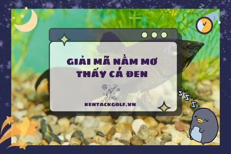 Nằm Mơ Thấy Cá Đen: Giải Mã Ý Nghĩa, Điềm Báo Và Con Số May Mắn 2025