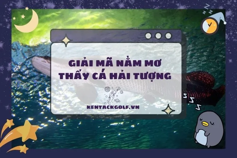 Nằm Mơ Thấy Cá Hải Tượng: Ý Nghĩa, Điềm Báo và Con Số May Mắn 2025