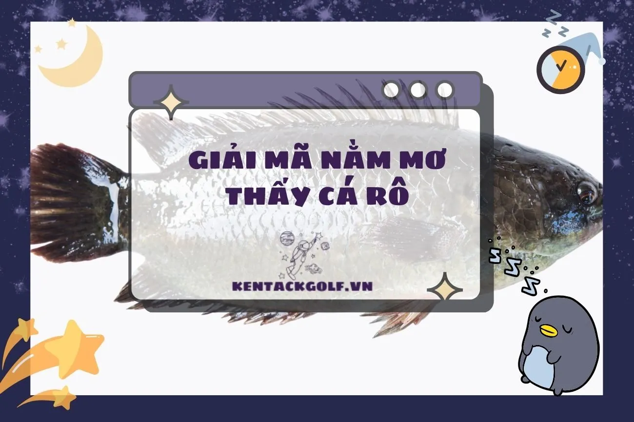 Nằm mơ thấy cá rô: Ý nghĩa, điềm báo và con số may mắn 2025