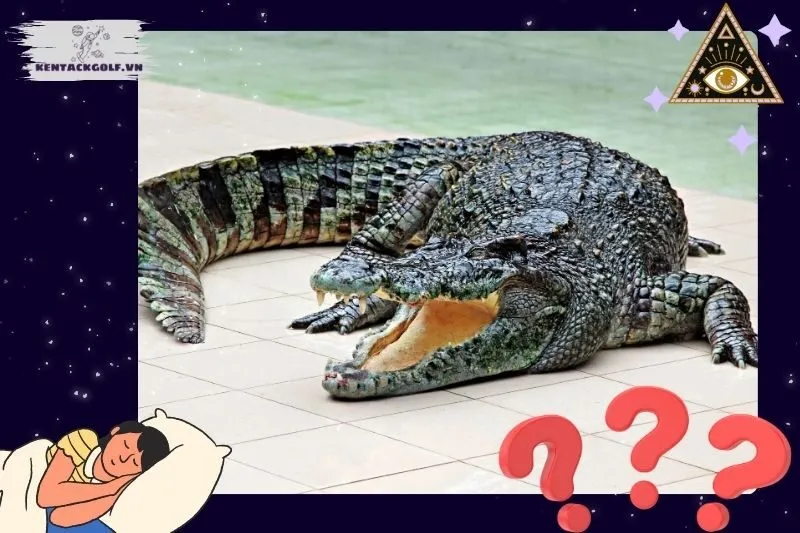 Nằm mơ thấy cá sấu có ý nghĩa gì?