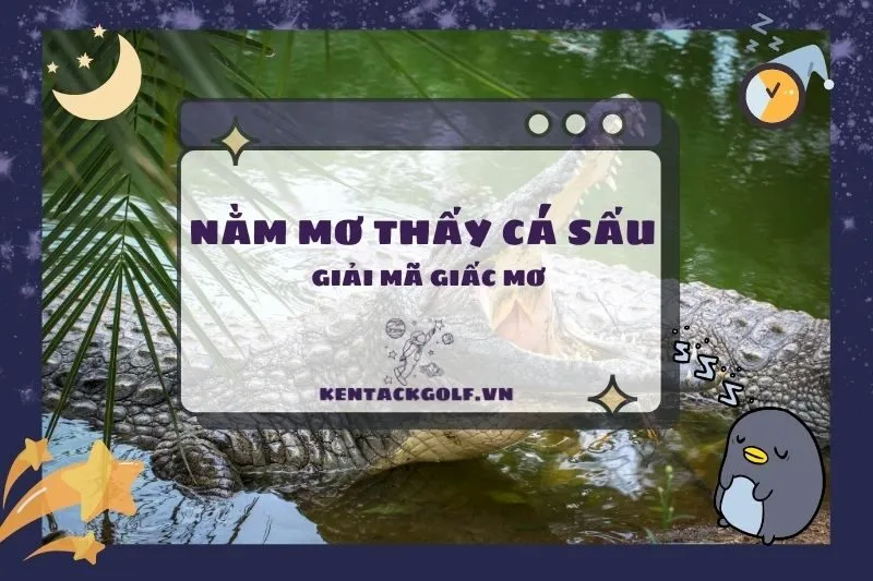 Nằm mơ thấy cá sấu: Ý nghĩa và điềm báo tốt xấu 2025