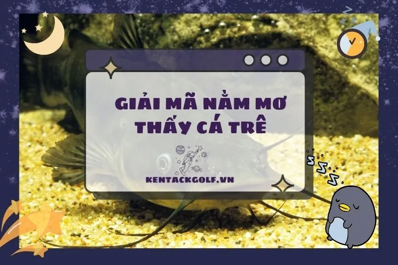 Nằm Mơ Thấy Cá Trê: Ý Nghĩa Và Điềm Báo Chi Tiết 2025