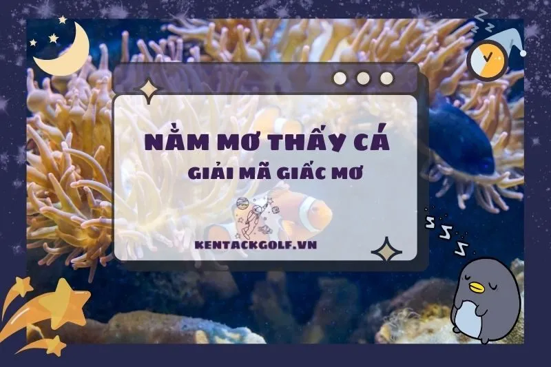 Nằm mơ thấy cá: Ý nghĩa, điềm báo và con số may mắn 2025