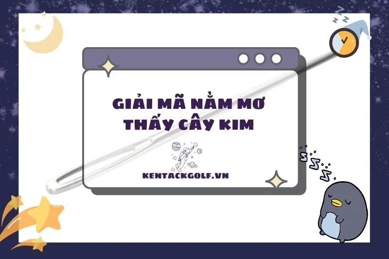 Nằm mơ thấy cây kim: Điềm báo gì? Ý nghĩa và con số may mắn 2025