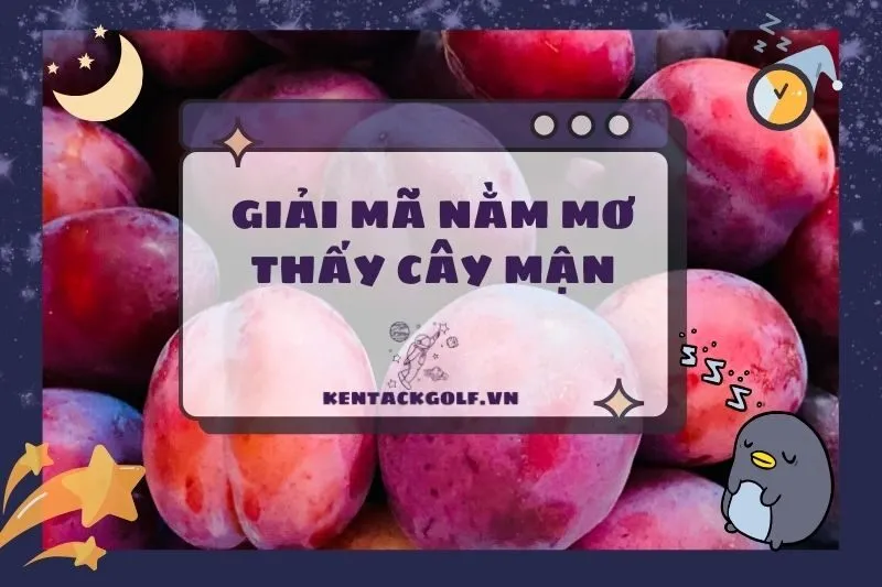 Nằm Mơ Thấy Cây Mận: Ý Nghĩa, Điềm Báo Và Con Số May Mắn 2025