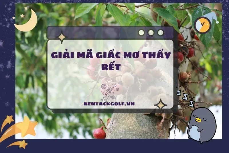 Nằm Mơ Thấy Cây Sung: Giải Mã Điềm Báo Và Con Số May Mắn 2025