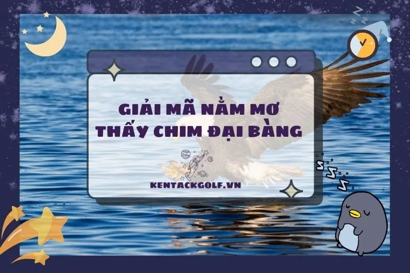 Nằm Mơ Thấy Chim Đại Bàng: Ý Nghĩa, Điềm Báo Và Con Số May Mắn 2025