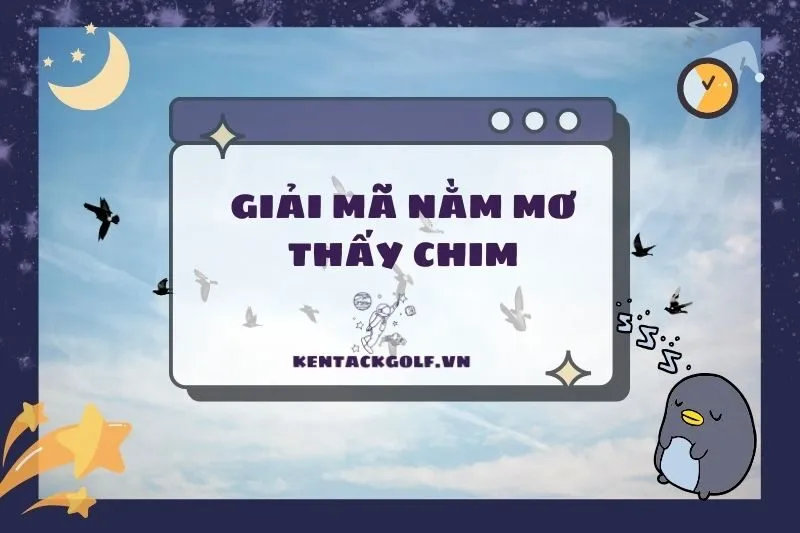 Nằm mơ thấy chim: Ý nghĩa, điềm báo và con số may mắn 2025