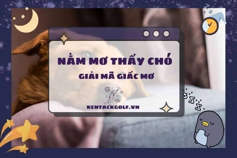 Nằm Mơ Thấy Chó Có Ý Nghĩa Gì? Điềm Lành Hay Xui Xẻo 2025